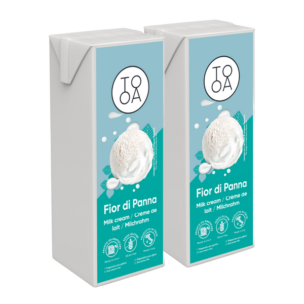 Gelato Fior di Panna 2x1 L