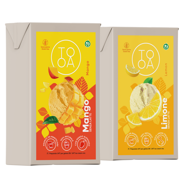 Gelato Mango e Limone 2x1 L