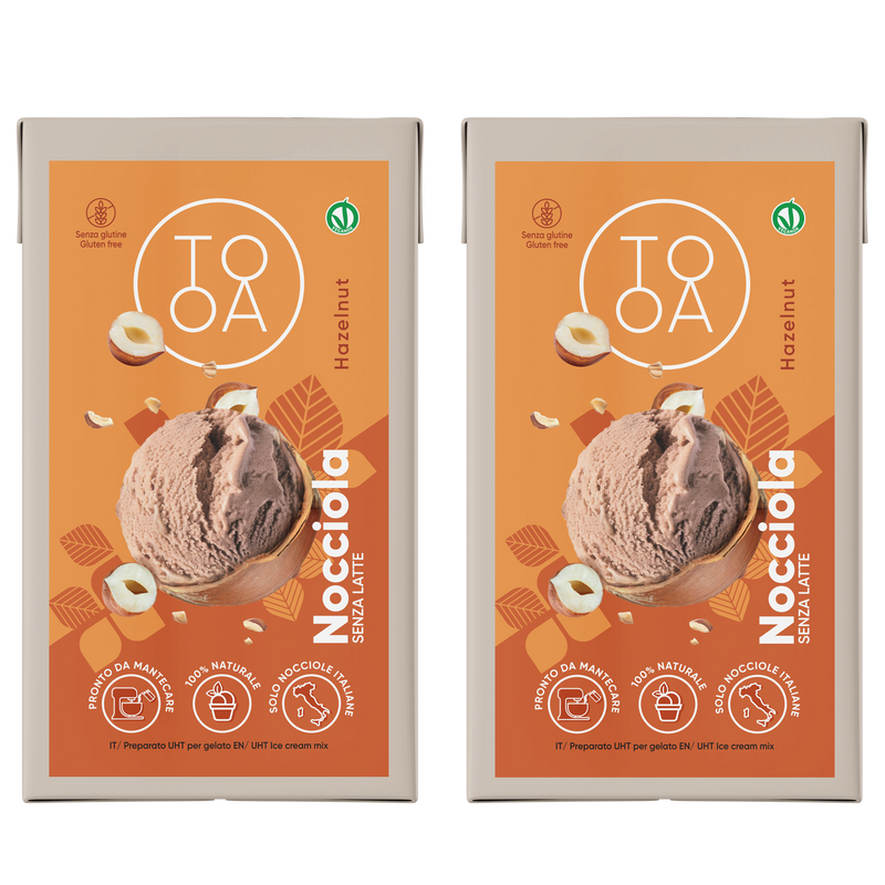 Hazelnut  Vegan Gelato 2x1 L