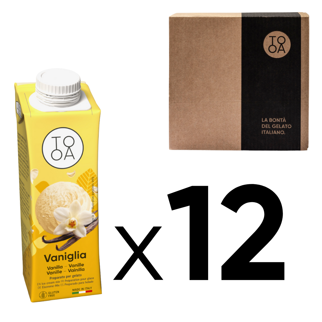Box 12 Brik - Vanilleeis 250 ml