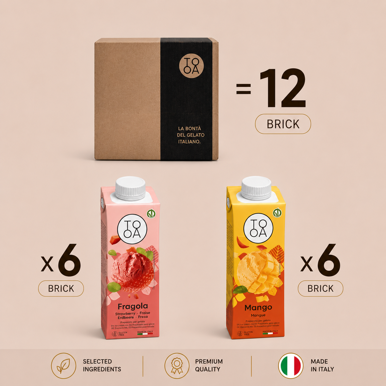 Mix Fruttato – 12 Brik da 250 ml (6 Fragola | 6 Mango)