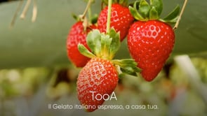 Kit 5 astucci Fragola